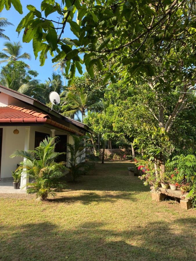 Mango Villa Хикадува Екстериор снимка