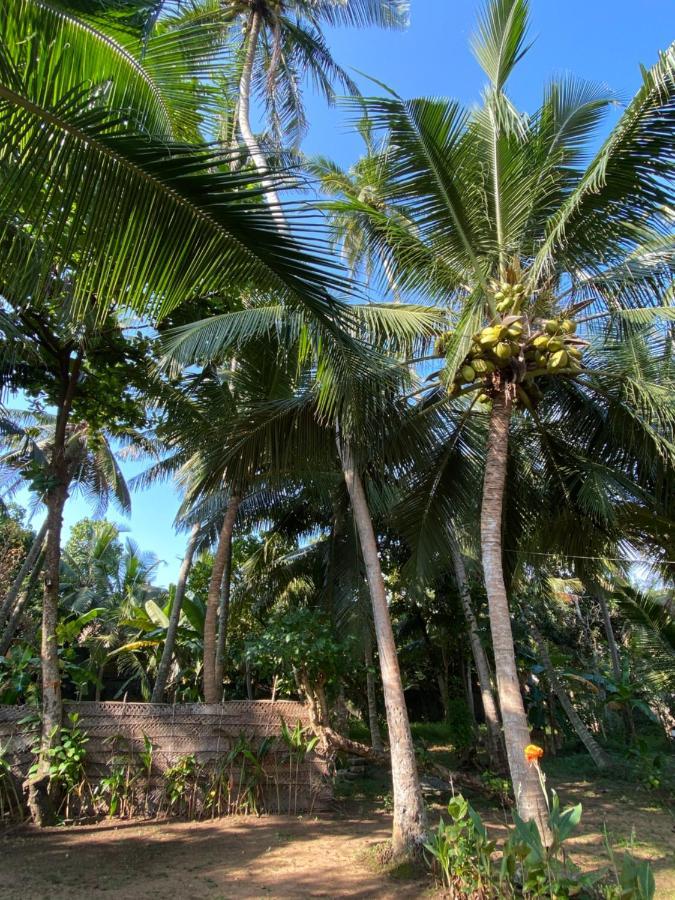 Mango Villa Хикадува Екстериор снимка